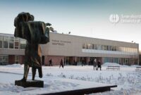 University of turku scholarship s2 1