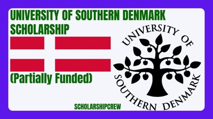 Southern denmark university scholarship s2 1