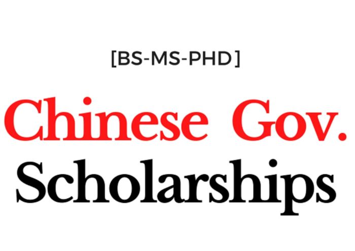 Chinese government scholarship csc scholarship s2 1