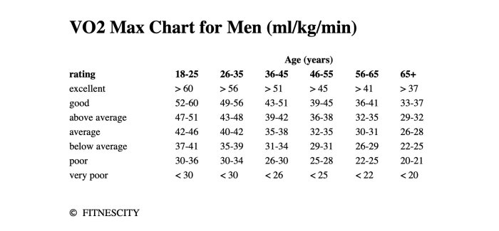 Cara menghitung vo2max dengan bleep test