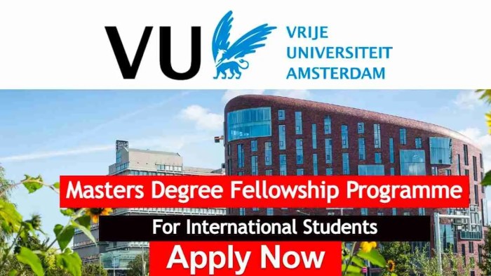 Vu amsterdam fellowship program s2 1