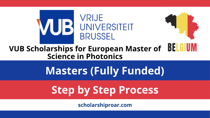 Master mind scholarship vrie universiteit brussel s2 1