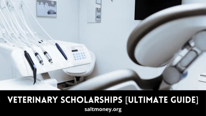 Veterinary of medicine scholarship s2 1