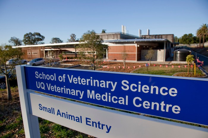 Veterinary medicine veterinarians