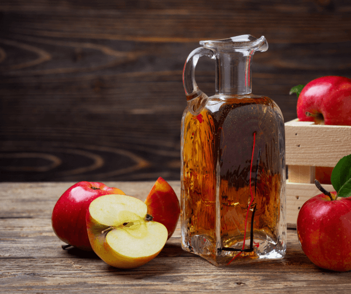 Vinegar artinya bahasa indonesianya