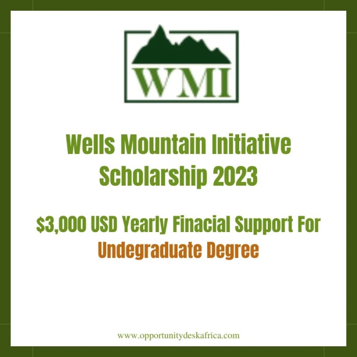 Scholarship initiative wells mountain international wmi full