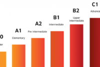 Levels fluency