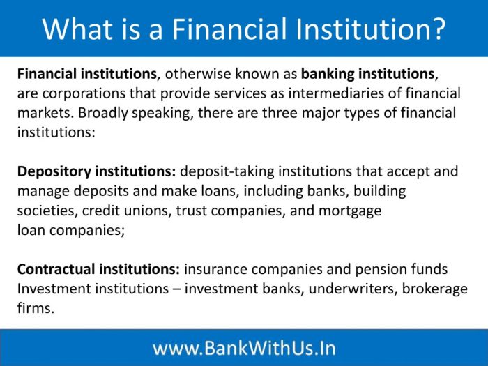 Institutions financial examples types definition study