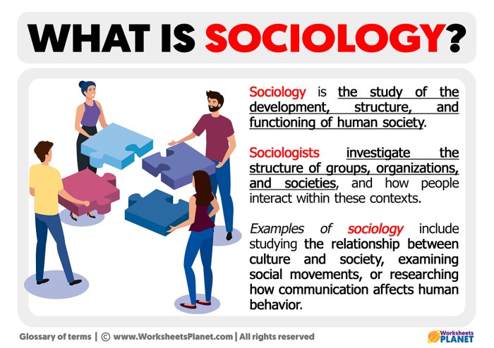 Sociology workplace essays