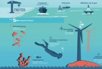 Pengertian dari marine economy dan maritime economy dalam ilmu ekonomi