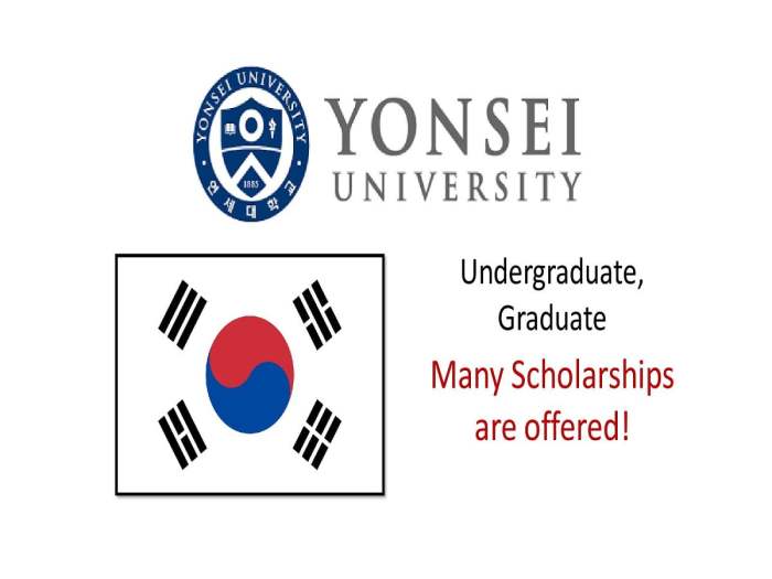 Winter abroad at yonsei scholarship nondegree 1