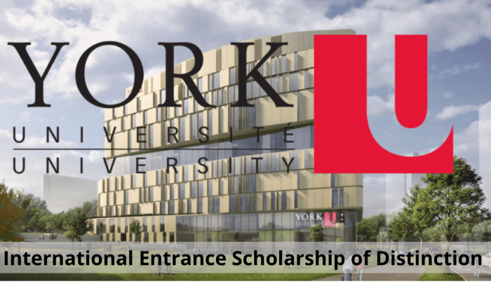 International entrance scholarship of distinction york university s1 1