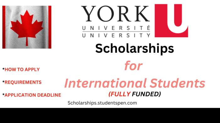 Beasiswa s1 di york university kanada