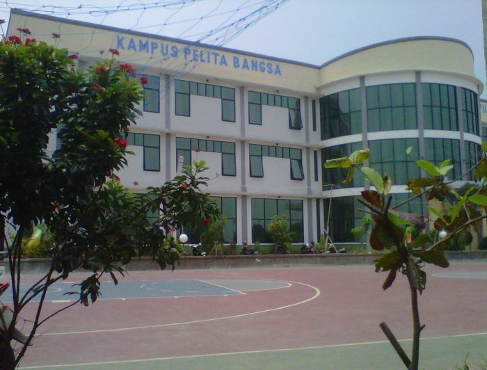 Universitas pelita bangsa biaya