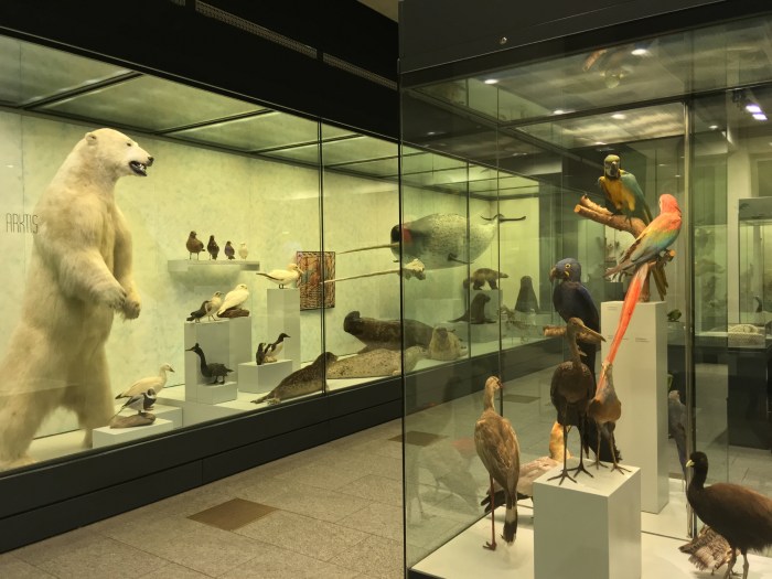 Sejarah berdirinya museum zoologi