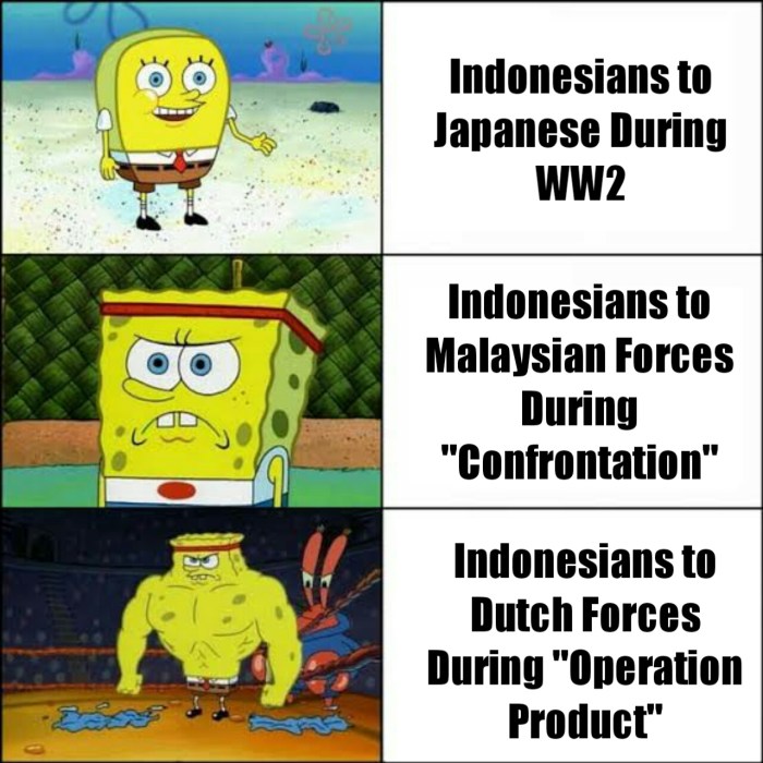 Meme sejarah indonesia