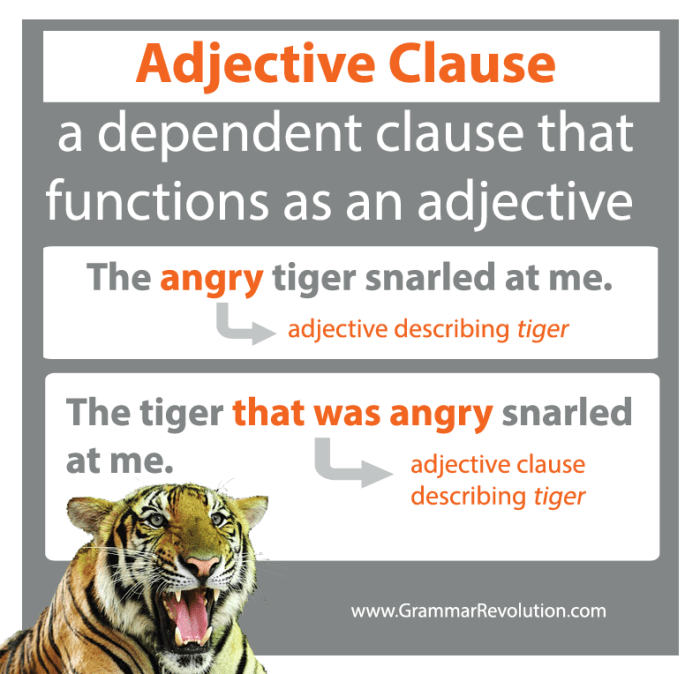 Adjective clause types