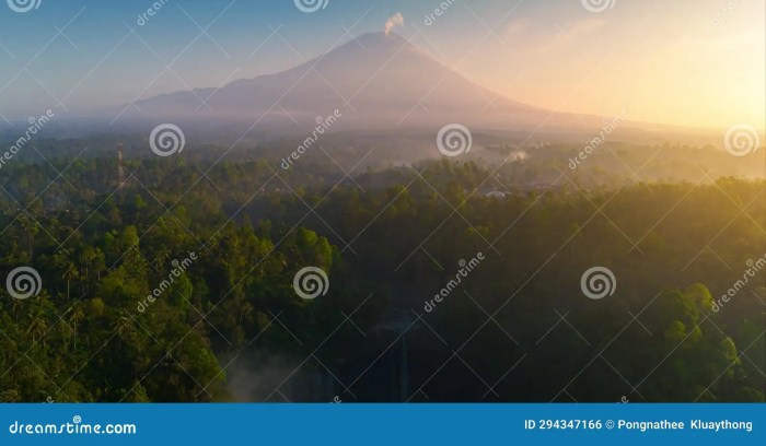 Lapse artinya dalam bahasa indonesia