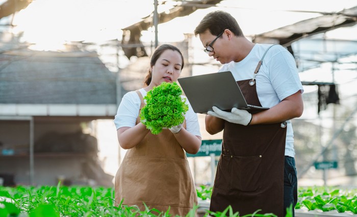 Universitas yang ada jurusan agribisnis