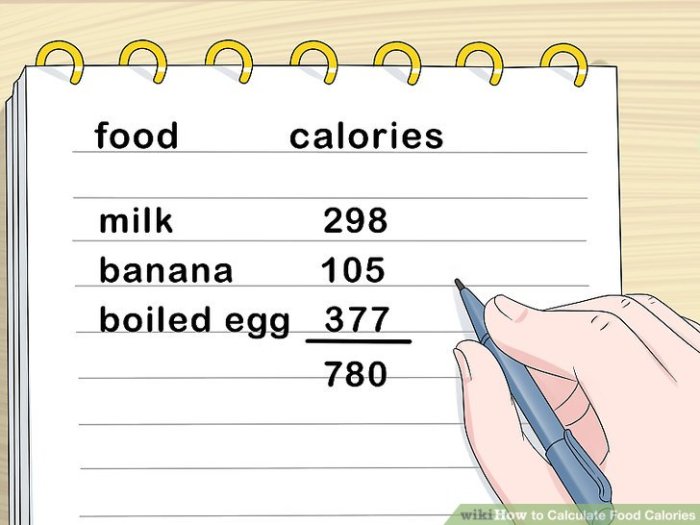 Cara menghitung gizi makanan