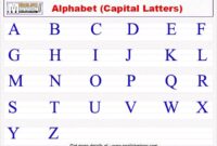 Alphabet english words children kids abc whole cute uppercase education illustration