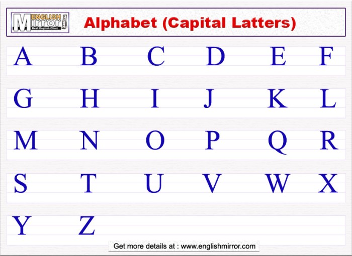 Alphabet english words children kids abc whole cute uppercase education illustration