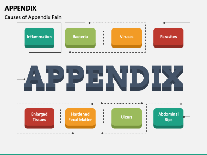 Contoh appendix skripsi bahasa inggris