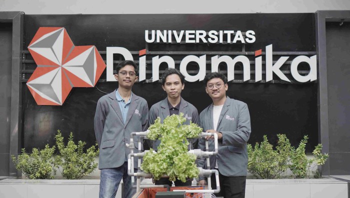 Universitas dinamika bangsa