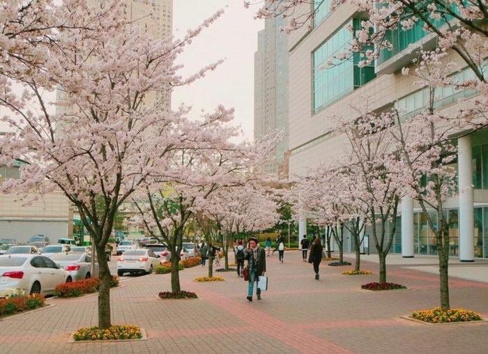 Konkuk campus