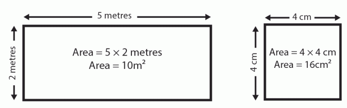 Area calculate