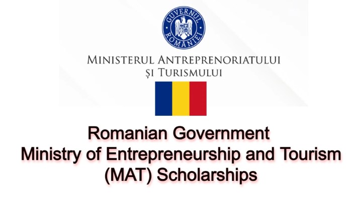 The romanian government ministry of entrepreneurship and tourism scholarship s1 s2 s3 1