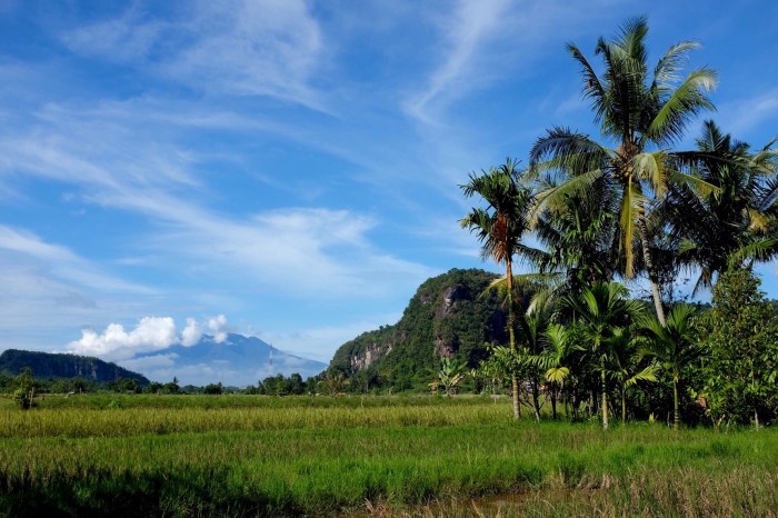 Kuantan singingi kabupaten riau masyarakat budaya kuansing adat provinsi kebudayaan hari sehari kehidupan