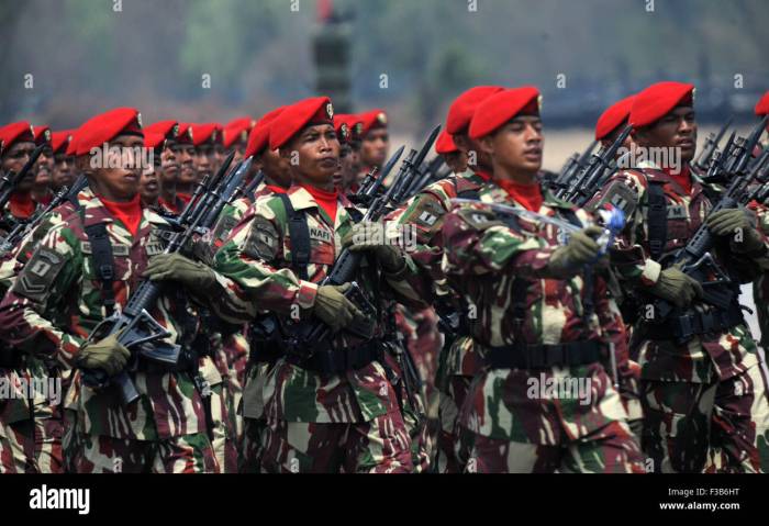 Sejarah terbentuknya tni