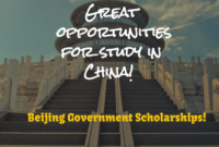 Beijing government scholarship s2 1