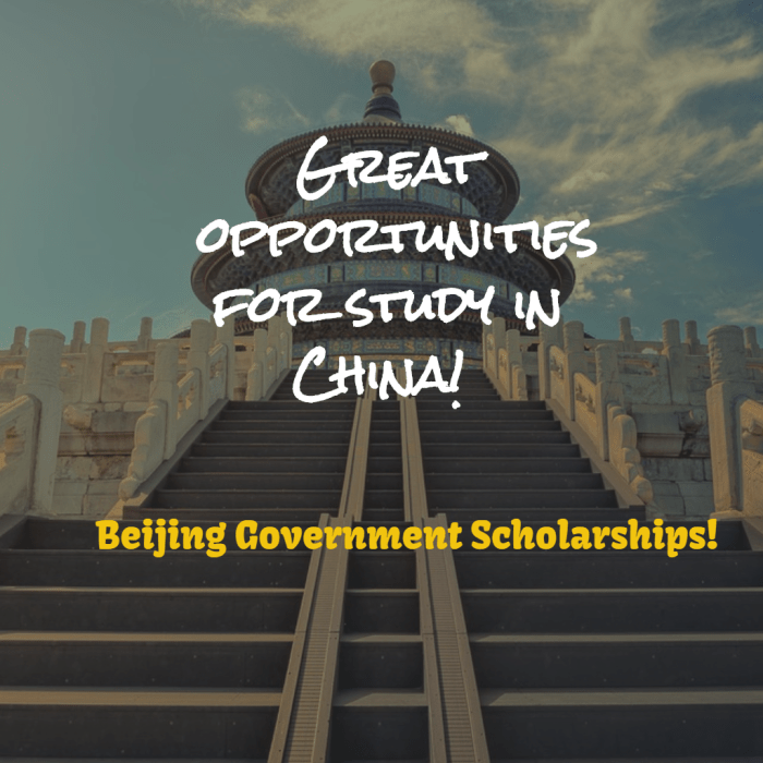 Beijing government scholarship s2 1