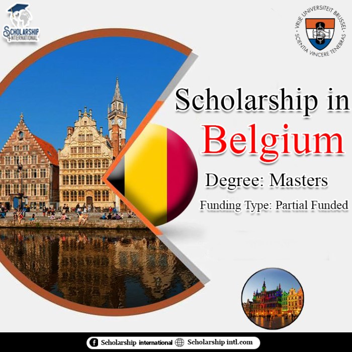 Master mind scholarship vrie universiteit brussel s2 1