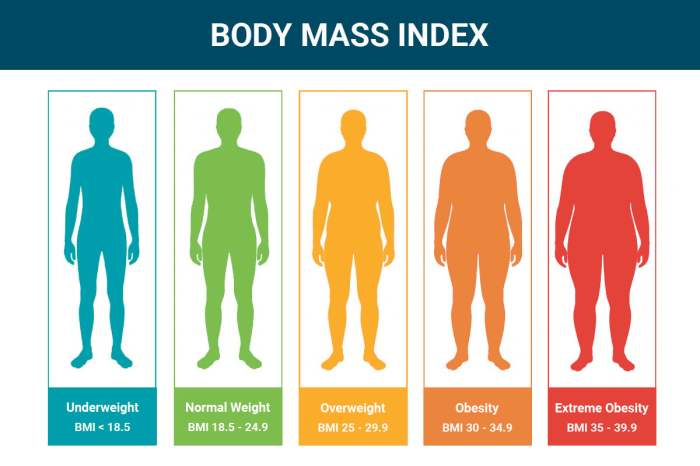 Bmi chart check calculate body mass index online weight does loss dr diet mean stands ketone pregnancy choose board