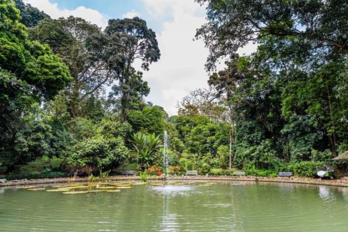 Sejarah kebun raya bogor dalam bahasa inggris