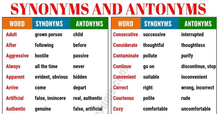 Sinonim dan antonim bahasa inggris