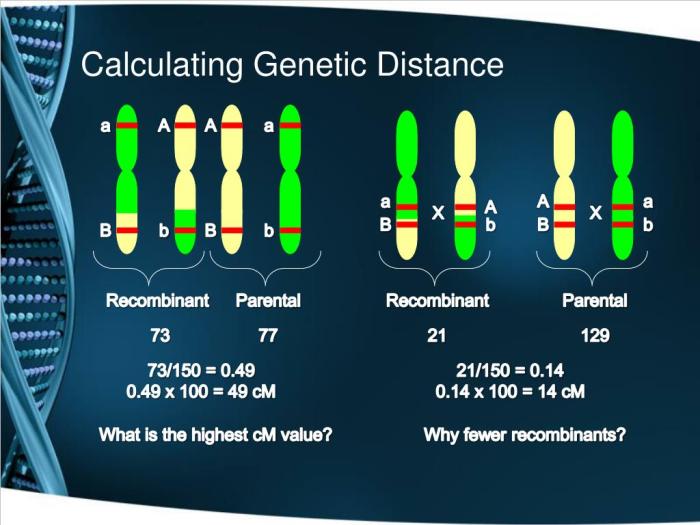 Map linkage genes genetic mapping calculate