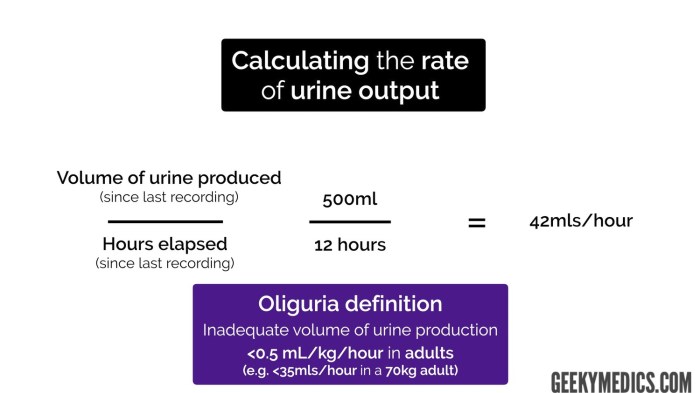 Cara menghitung output urine