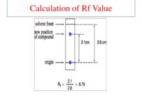 Paper chromatography ink rf questions chromatogram solvent inks use answer which water sketch analysis mr tool help