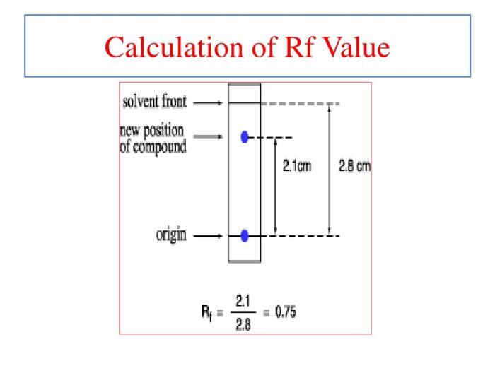 Paper chromatography ink rf questions chromatogram solvent inks use answer which water sketch analysis mr tool help