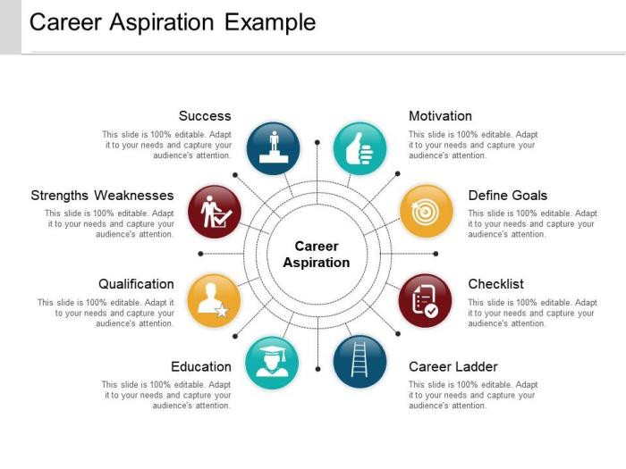 Aspirations essay depends aplustopper