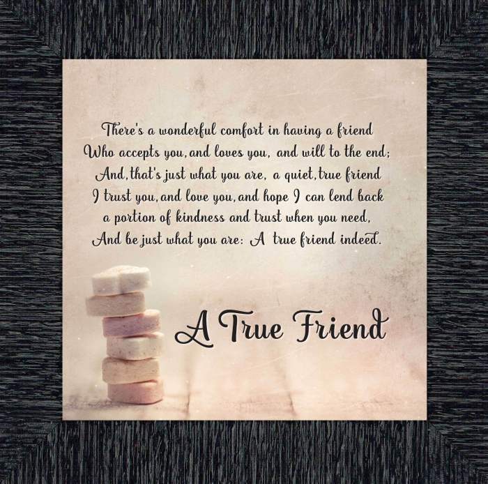 Friendship composed freinds poem