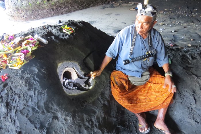 Sejarah ular suci tanah lot