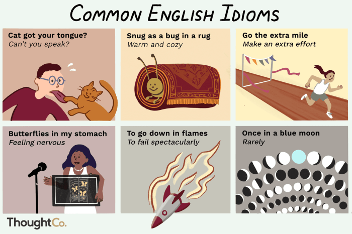 Apa itu idiom dalam bahasa inggris