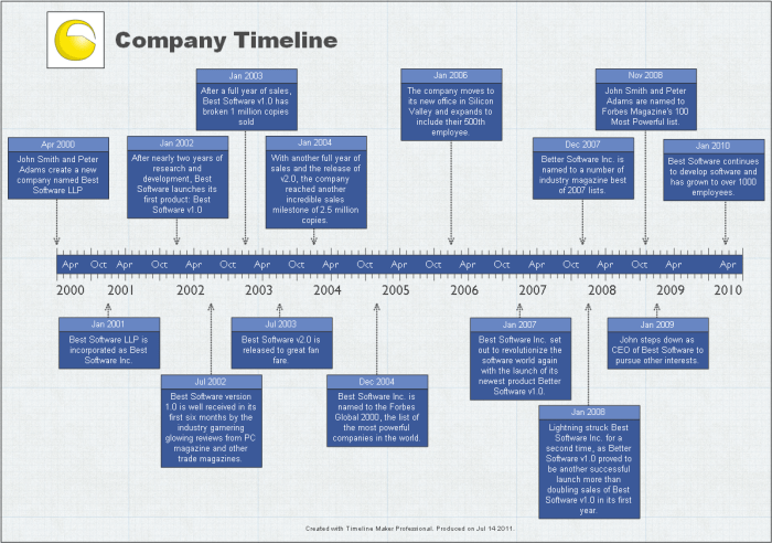 Business plan history company sample ppt workshop writing powerpoint presentation