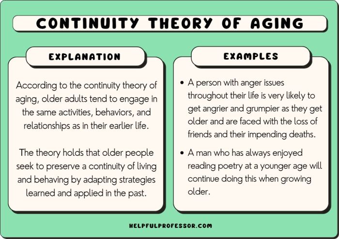 Continuity gestalt principles theory illusions