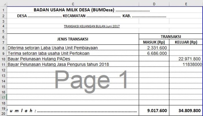 Download contoh laporan keuangan bumdes